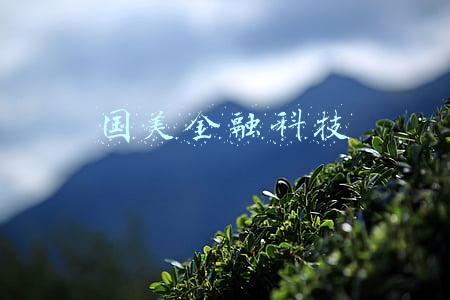 国美金融科技和国美零售区别(国美概念股分化：拉近网娱半日涨61%，国美零售跌近7%)