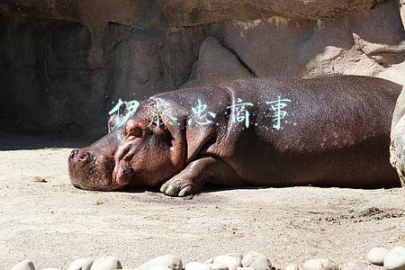 伊藤忠商事属于哪个财团(伊藤忠商事联手正大集团将投资中信集团1兆日元)