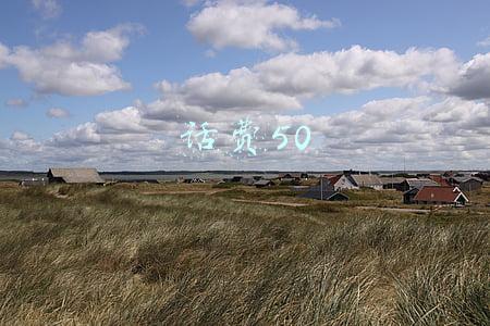 话费50