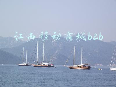 江西移动商城积分兑换(中石化江西宜春石油：移动积分兑换同比增幅553%)