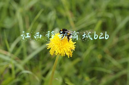 江西移动商城登录(中国移动回应江西网络故障：设备故障 已全部恢复)