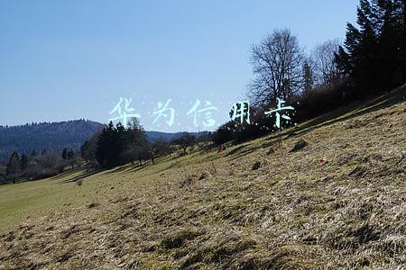 华为信用卡