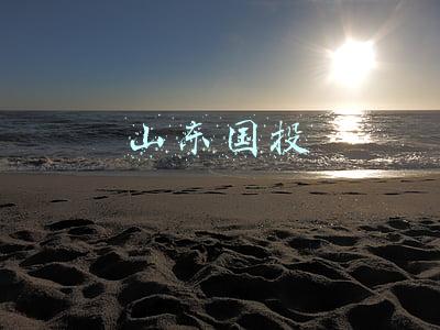 山东国投