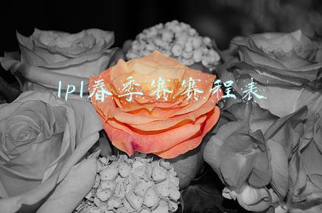 lpl春季赛赛程表