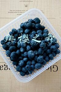 绯樱之舞
