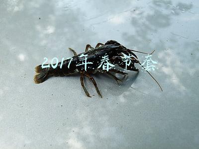 2017年春节套