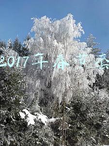 2017年春节套宠物装备(dnf2022春节套宠物装备可以交易吗)