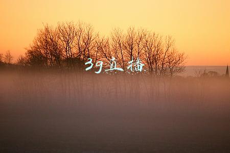 3g直播