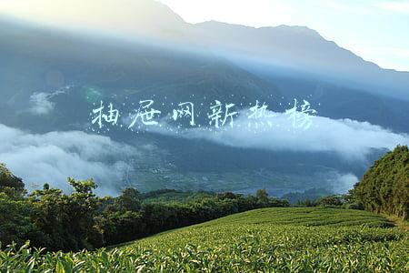 抽屉新热榜-聚合每日热门、搞笑、有趣资讯(受够了各种震惊党，不妨试试这四款优质资讯产品)