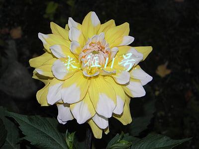 长征11号海上发射(“一箭五星”！长十一海上发射圆满成功)
