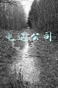 电通公司