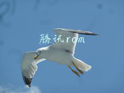 腾讯rom