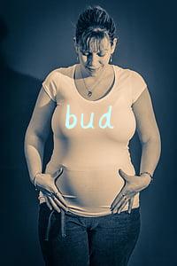 bud