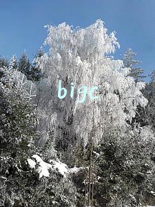 bigc