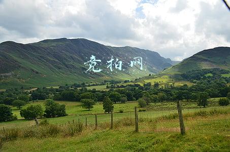 宝坻区土地流转竞拍网(土地流转 “寸土”变“寸金”)