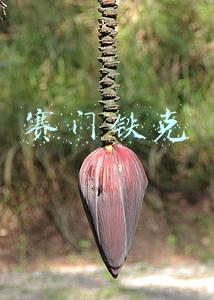 赛门铁克