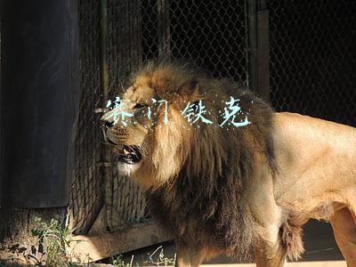 赛门铁克