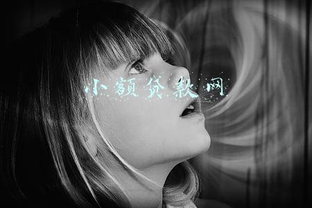 小额贷款网