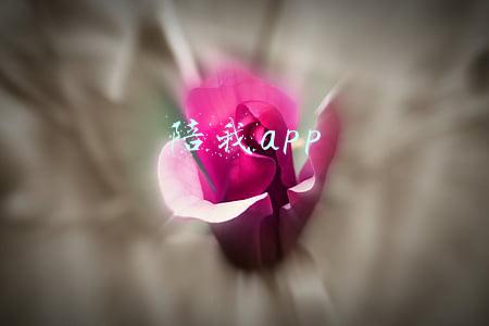 陪我app