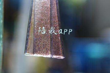 陪我app怎么没有了(盘点孙宇晨资本版图 天眼查App显示孙宇晨国内关联19家企业 孙宇晨回应被FBI调查)