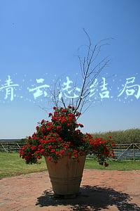 青云志结局