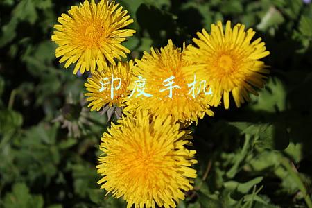 印度手机