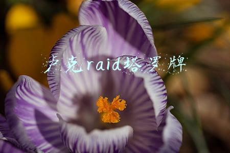 卢克raid塔罗牌