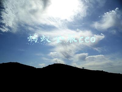 蚂蚁金服ceo