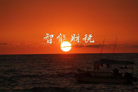 智能财税