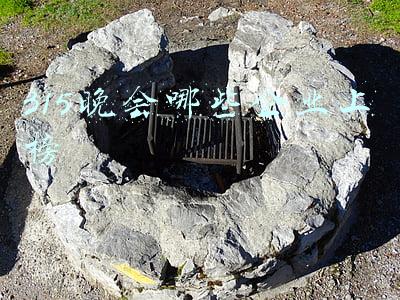 315晚会哪些企业上榜