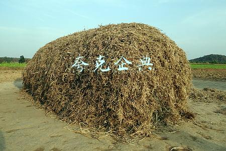 夸克企典