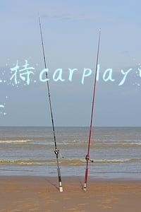 支持carplay的车