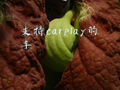 支持carplay的车