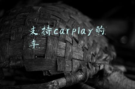 支持carplay的车怎么使用(CarPlay 车载如何使用)