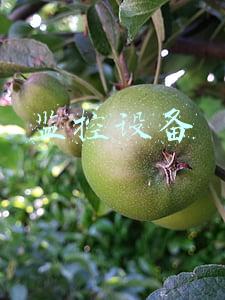 监控设备