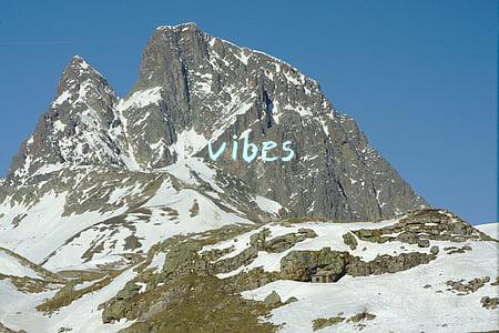 vibes