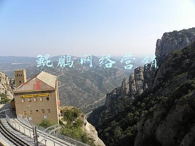 鲲鹏网络营销