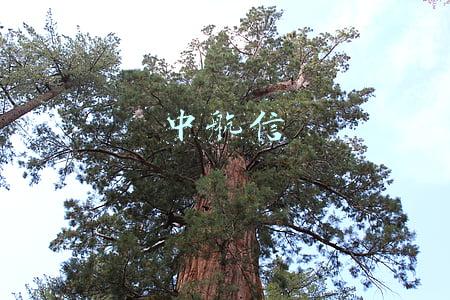 中航信