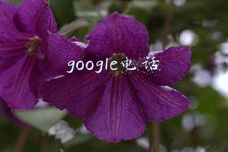 google电话