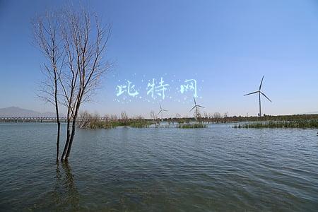 比特网
