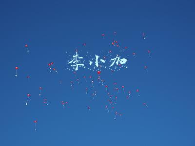 李小加