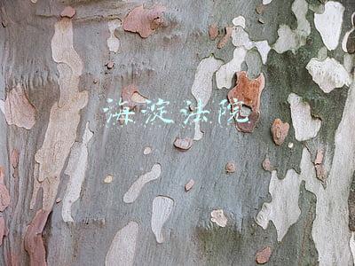 海淀法院网(北京市高级人民法院关于恢复现场立案、诉讼服务和信访接待工作的通告)