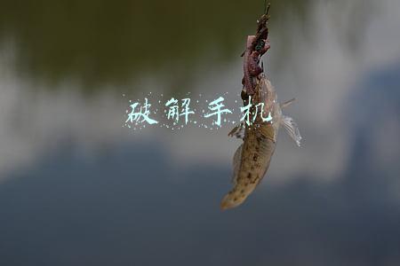 破解手机密码的方法是什么(忘记手机密码，千万别又清除数据！3个命令快速解锁)