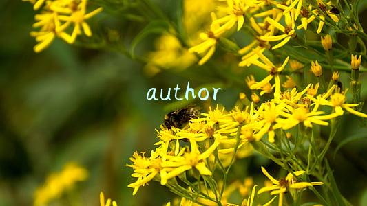 author