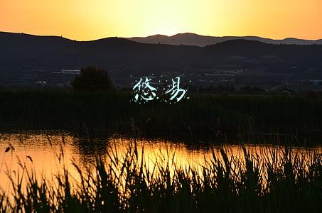 悠易