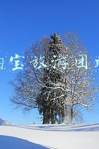 网上团购旅游(同程旅游孵化“同程生活”，试水社区团购)