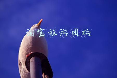 旅行购物团(这5个购物团小套路，家中有老人的，一定要注意)