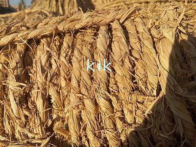 kik
