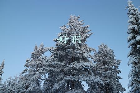 好时光(好时光)