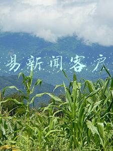 网易新闻客户端